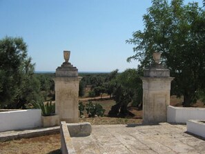 Terrace/patio - Masseria Rienzo (Ostuni)