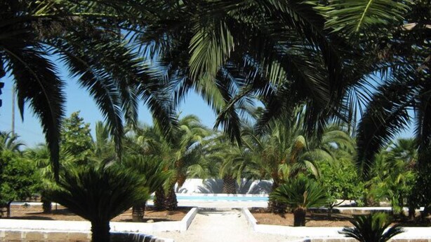 Un sendero que lleva a una piscina rodeada de palmeras.