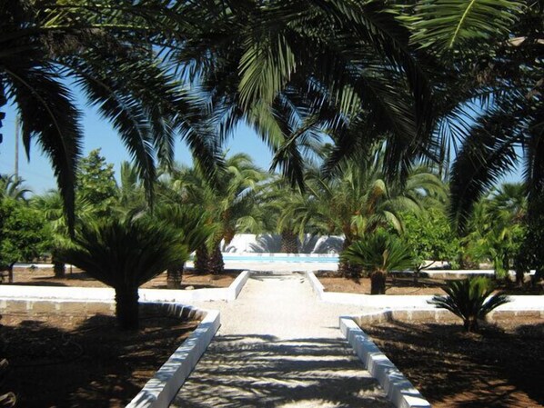 Property grounds - Masseria Rienzo (Ostuni)