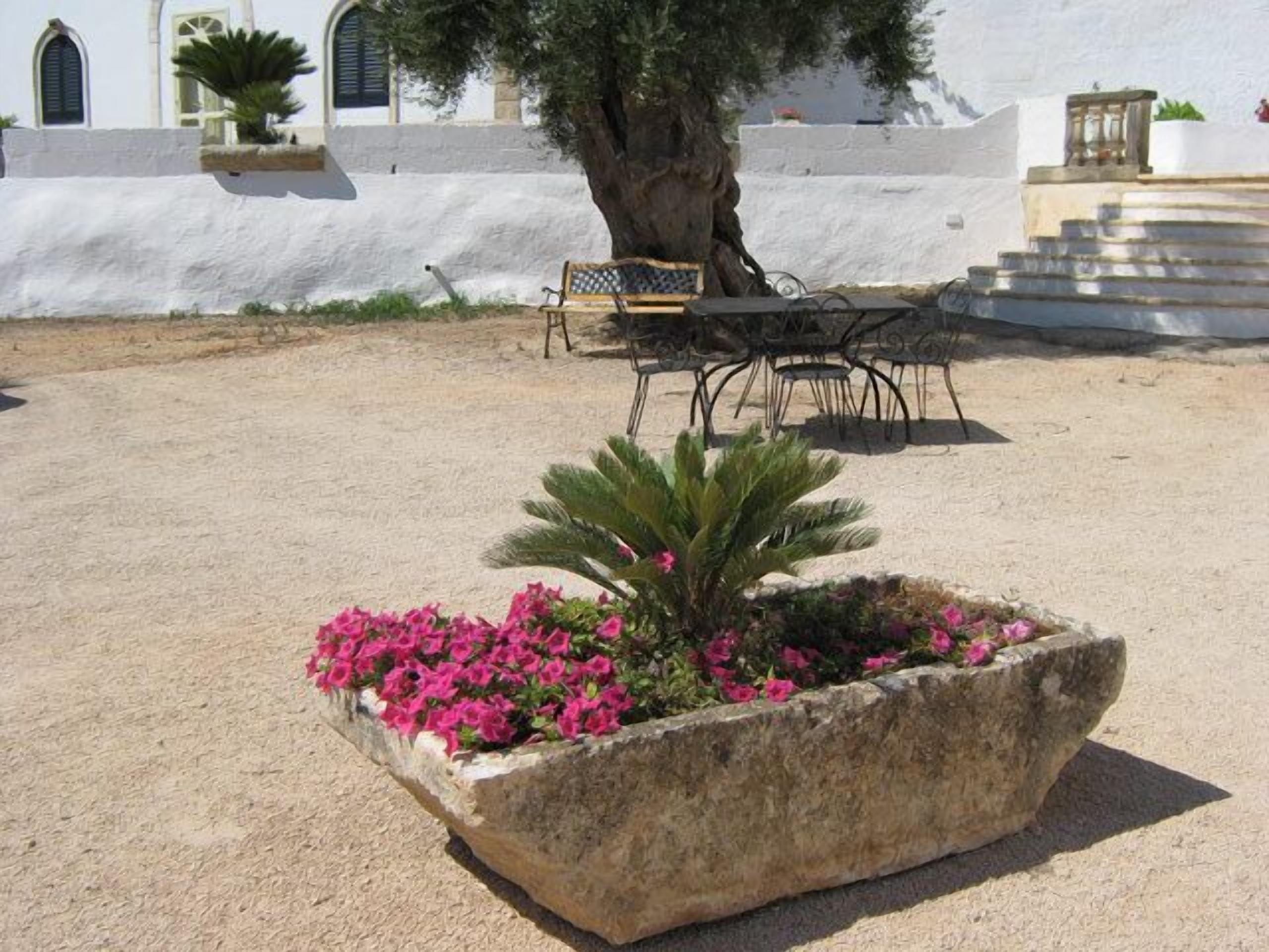 Un vaso di pietra con fiori rosa e una palma in un cortile con un muro bianco e una panchina sullo sfondo.
