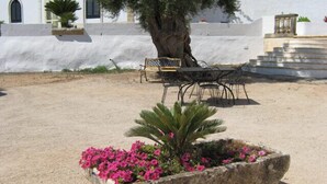 Una jardinera de piedra con flores rosas y una palmera en un patio con un muro blanco y un banco al fondo.