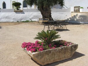 Terrace/patio - Masseria Rienzo (Ostuni)