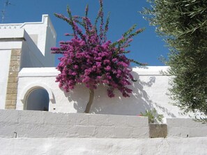 Exterior - Masseria Rienzo (Ostuni)