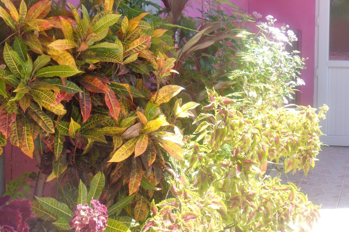 Comfort-Apartment, barrierefrei, Gartenblick (3 pax) | Blick vom Balkon