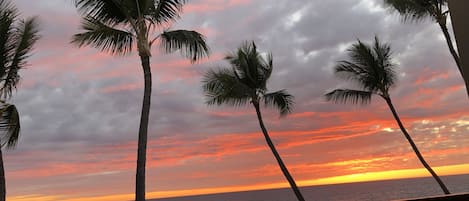 A sunset view with palm trees and the ocean.
