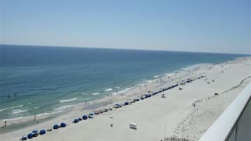 On the beach, white sand, fishing