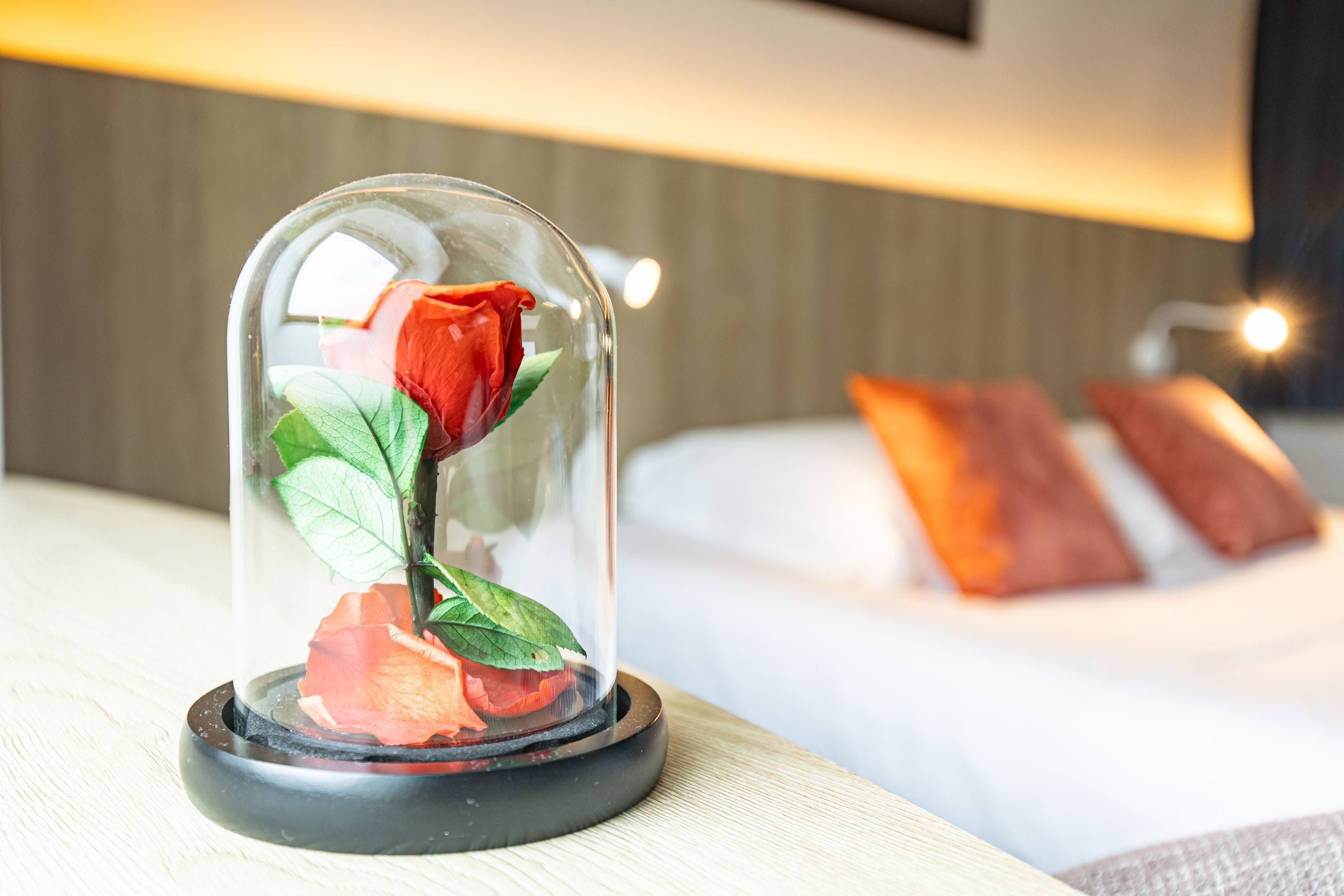 A glass dome with a rose on a wooden surface in a hotel room.