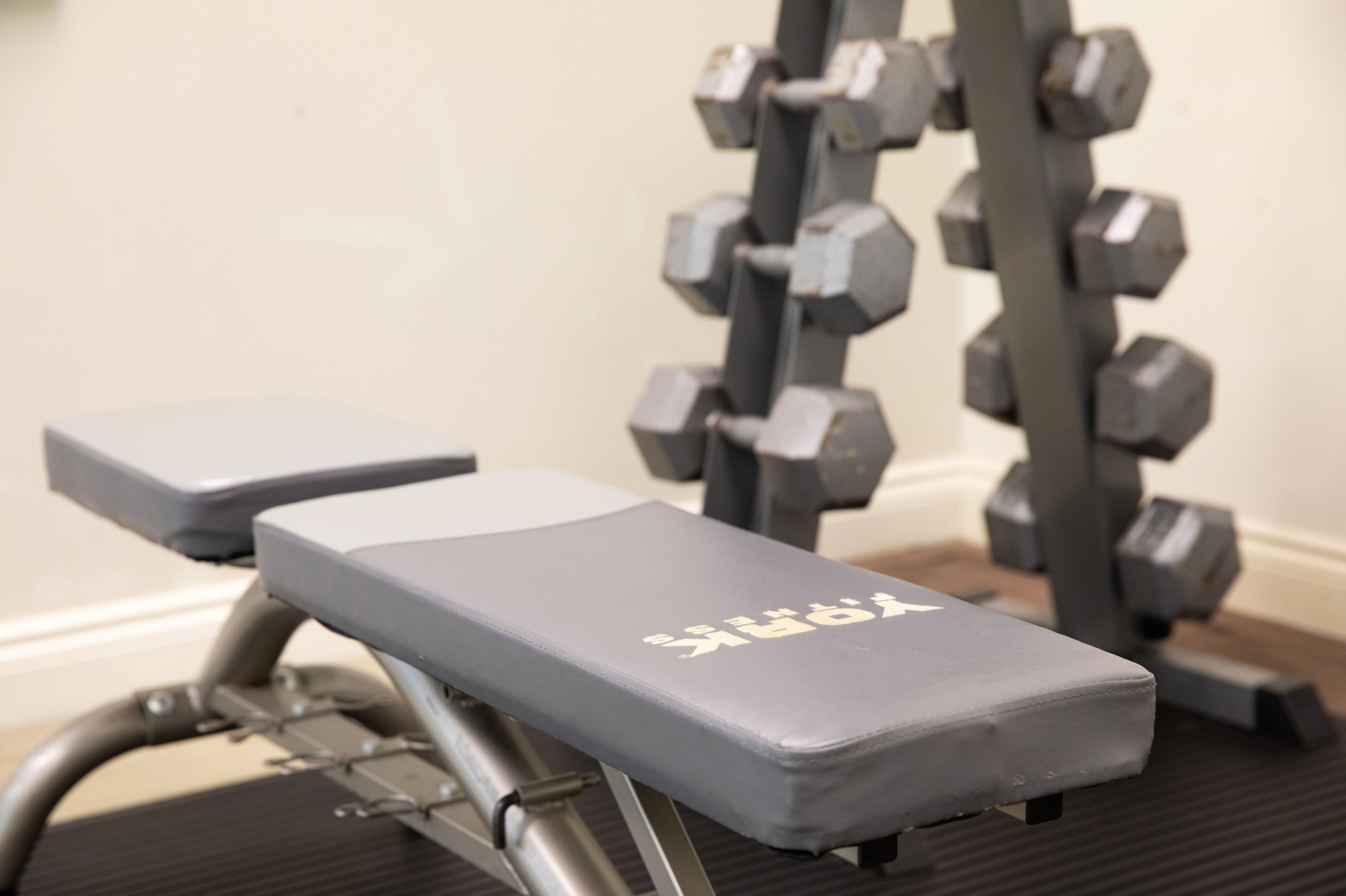 A gym with a bench and dumbbells.
