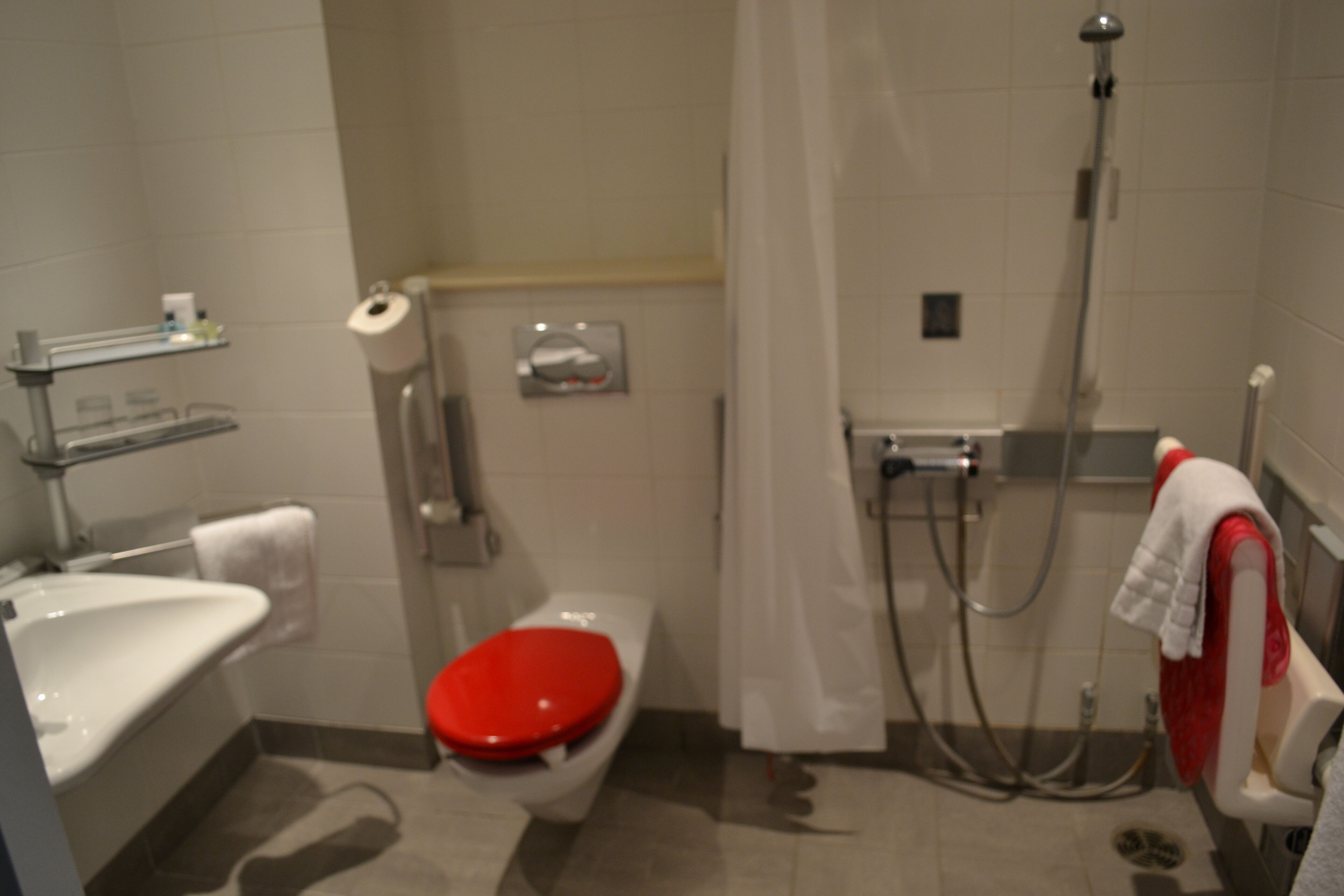 standard double room, accessible | bathroom | free toiletries, hair dryer, towels, soap