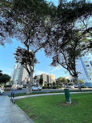 Un parque con árboles, una acera y un edificio al fondo.