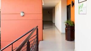 Un pasillo con una escalera a la izquierda, una planta en maceta a la derecha y una puerta al final.