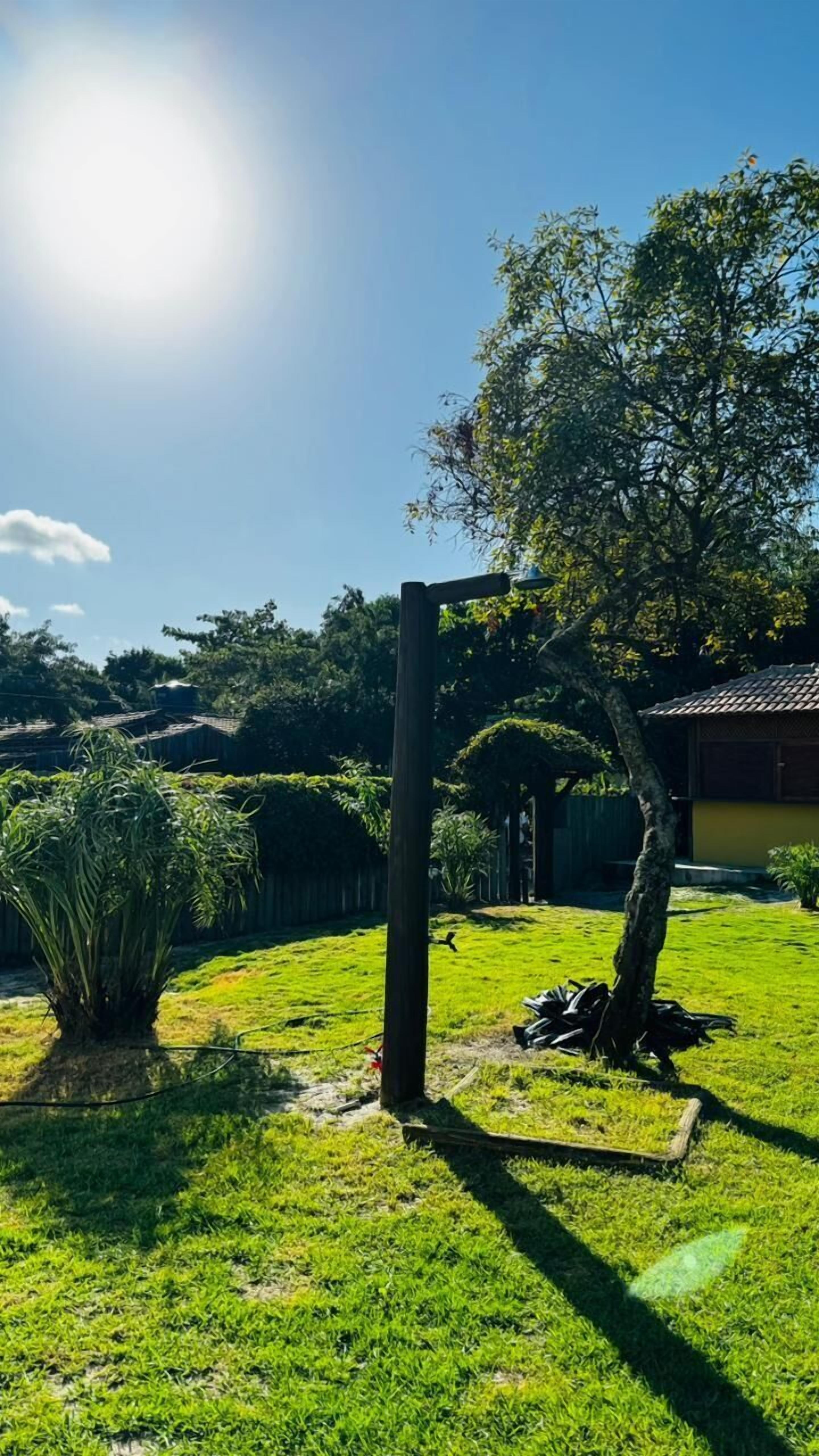 Un patio trasero con césped, un poste de madera, un árbol y un cobertizo pequeño.