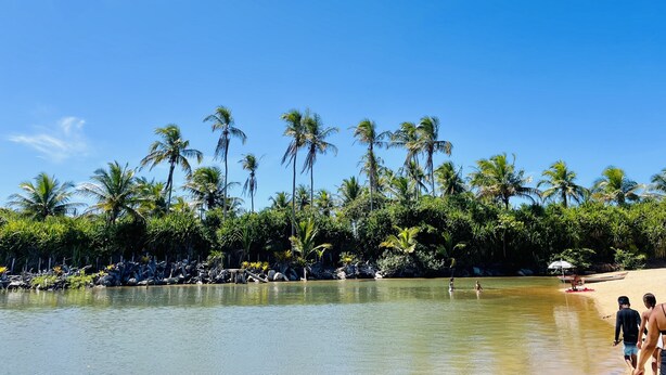 A beach with palm trees and a calm sea. - Pousada Aquarela (Porto Seguro)
