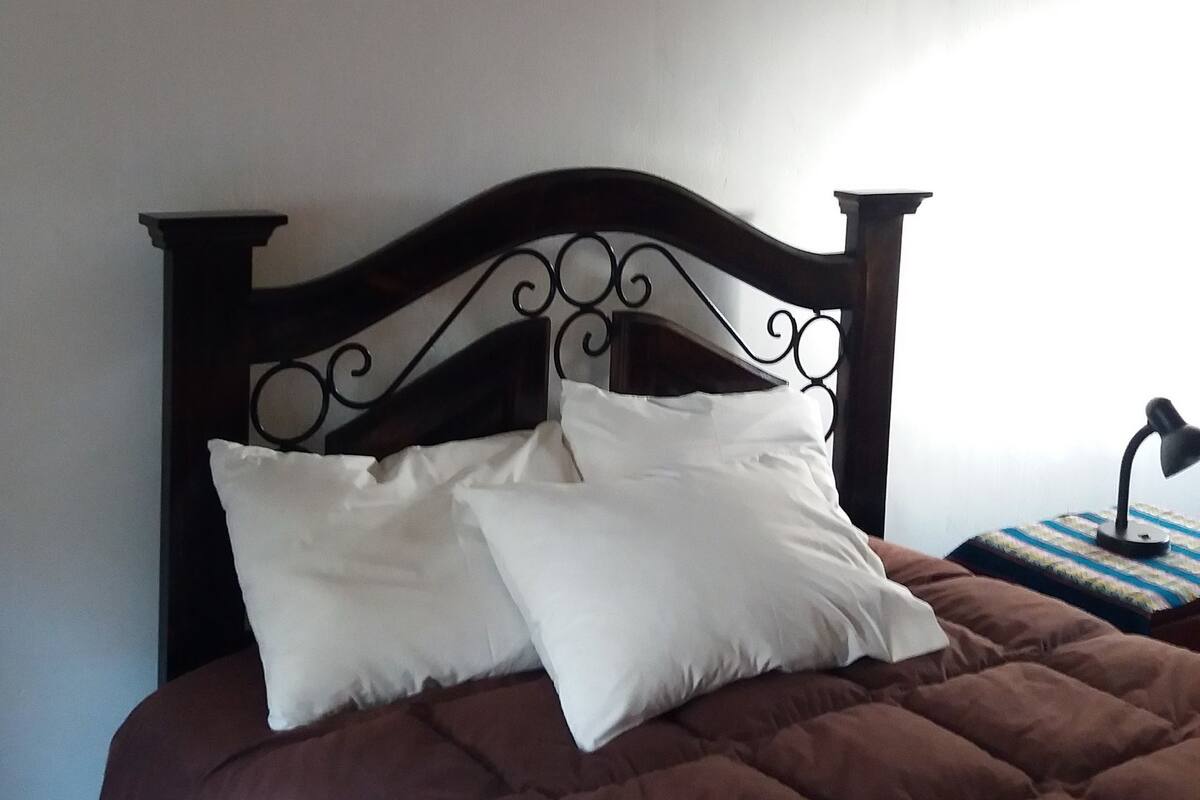 Single Room, Garden View