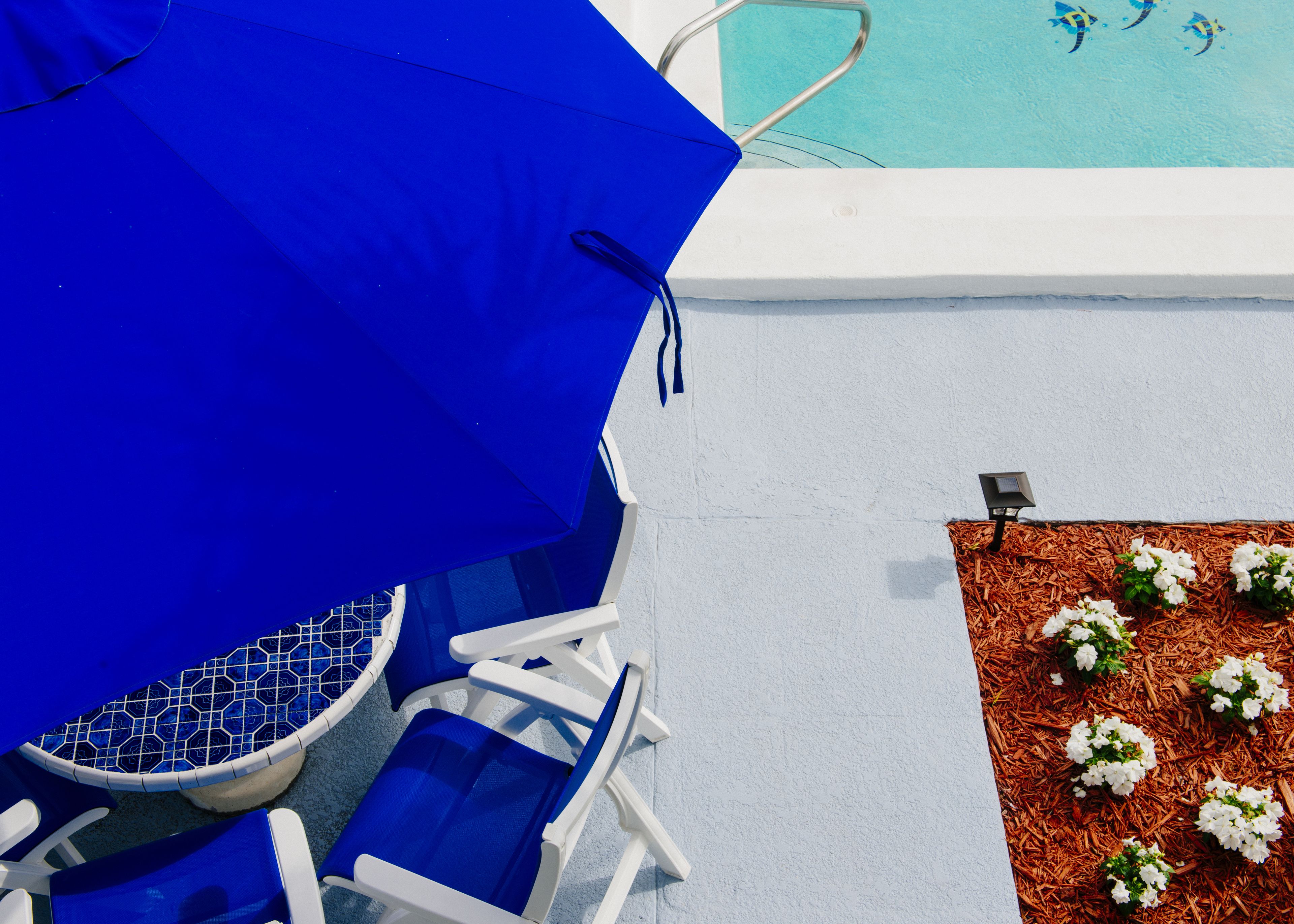 A pool area with blue chairs and an umbrella, surrounded by white walls and a flower bed.