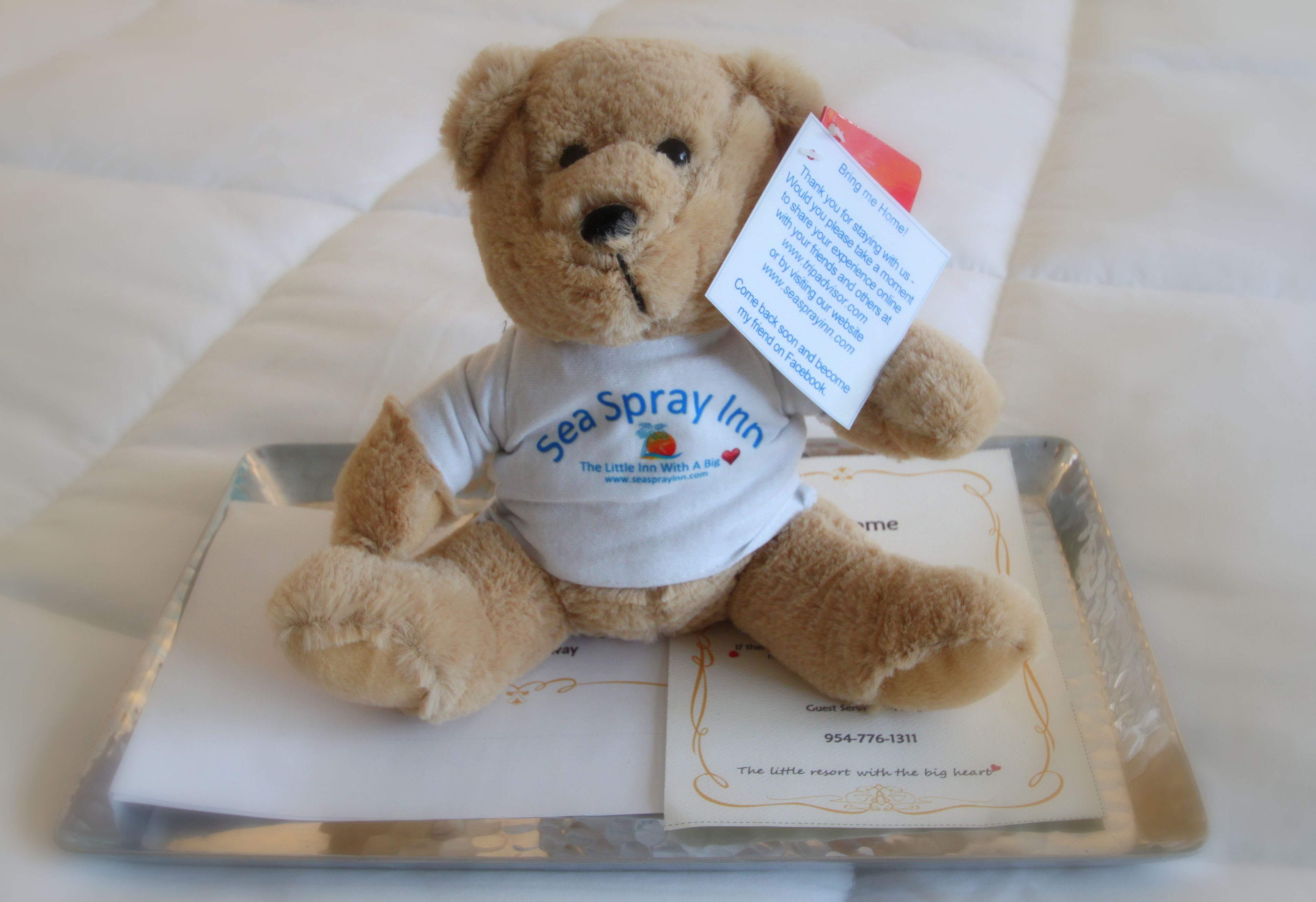 42-inch flat-screen tv with cable channels, tv