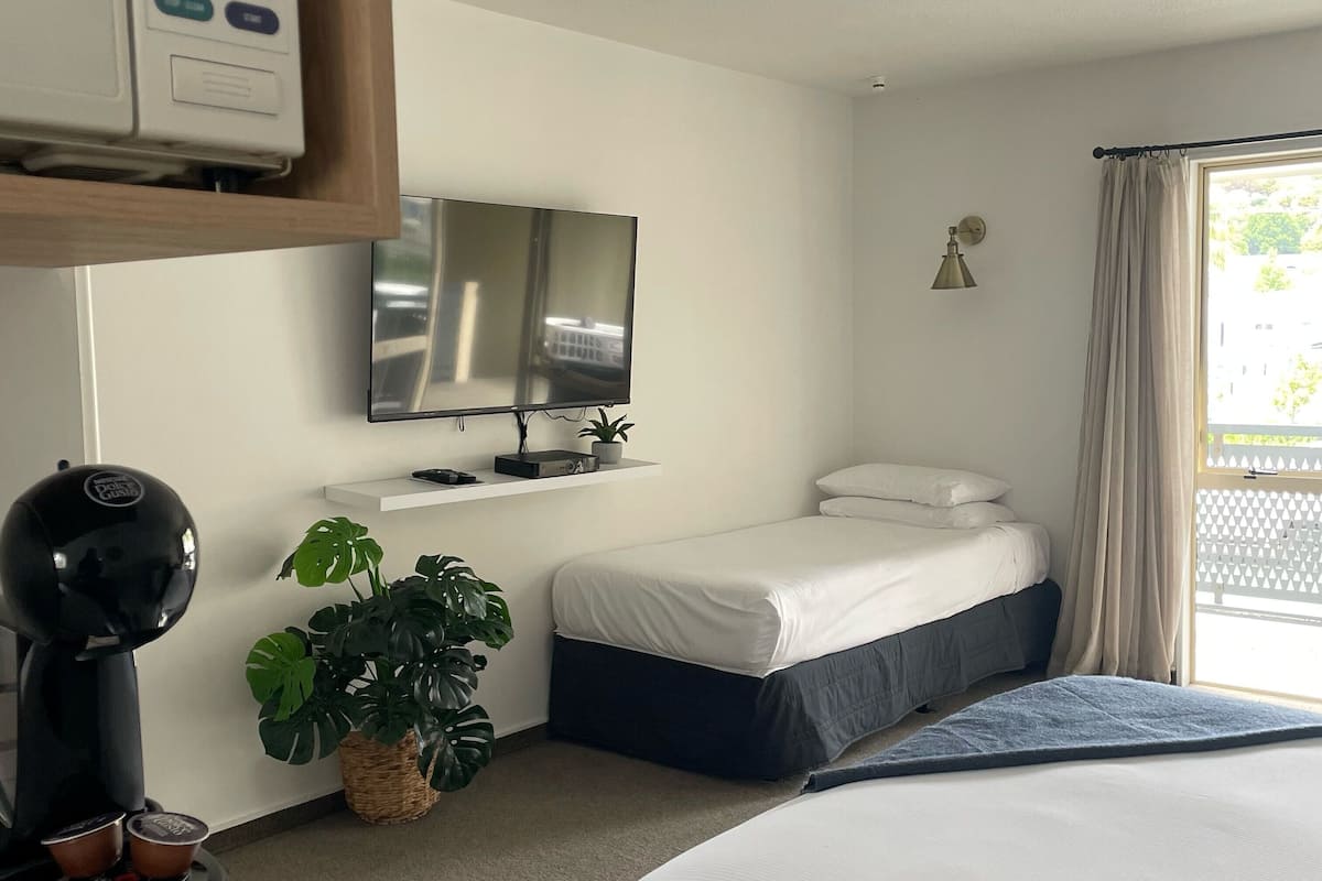 A hotel room with a bed, bedside table, TV, and a small plant.