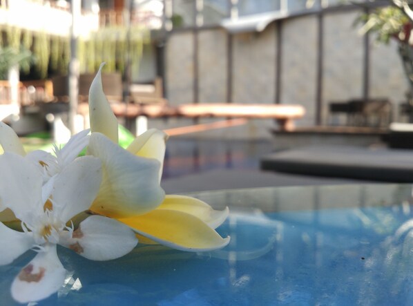 A close-up of a white and yellow flower on a reflective surface.