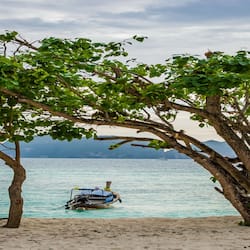 Private beach, rowing