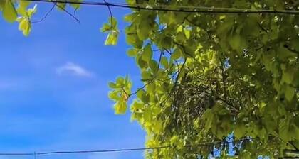 Paradise Resort PHI PHI