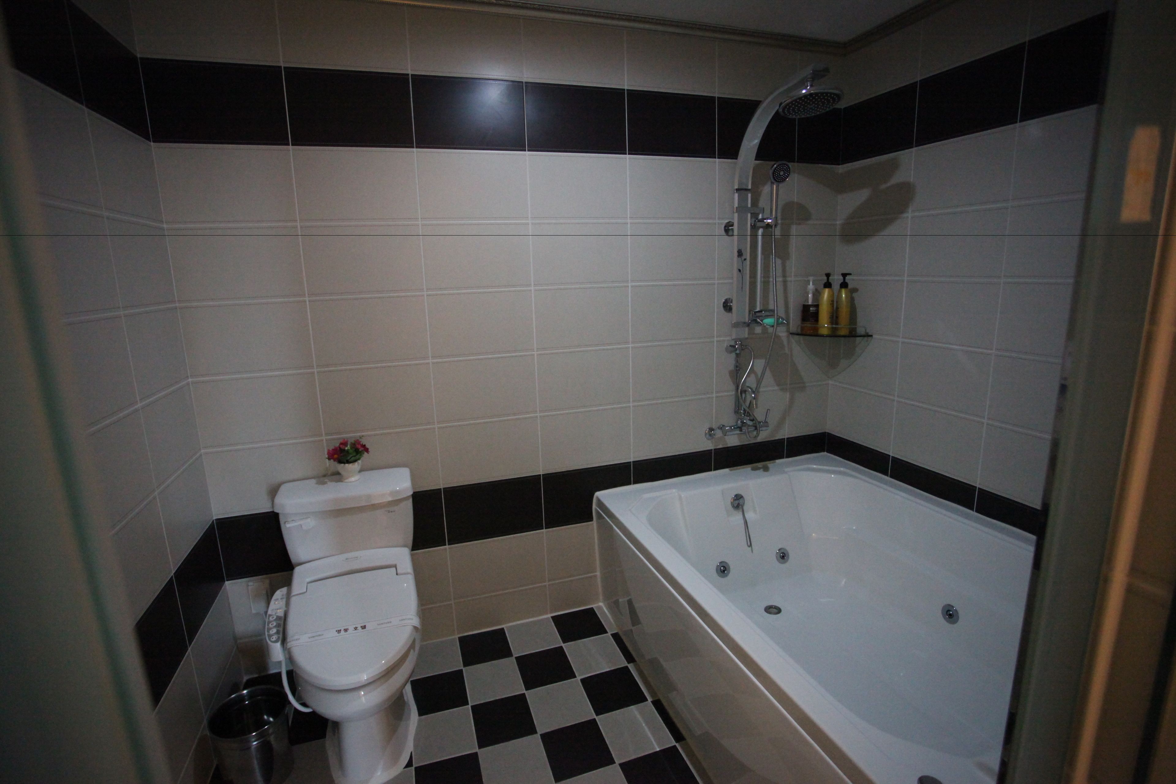 Bathroom shower