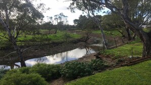 A serene landscape with a small pond, lush greenery, and trees.