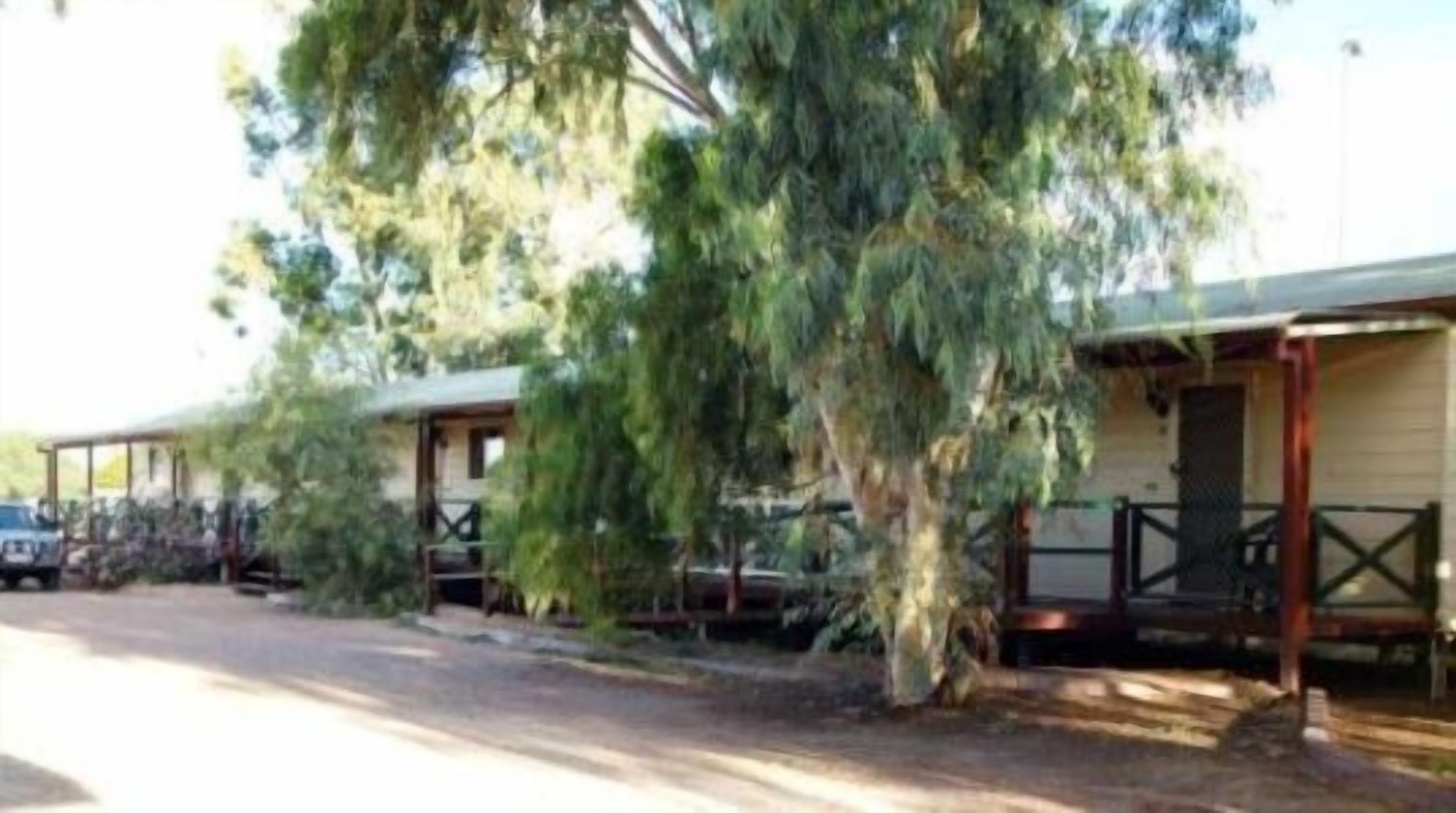 A row of cabins with a large tree in the foreground.