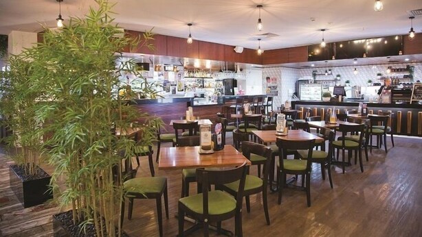 A restaurant with wooden tables and chairs, a bar area, and bamboo plants. - Carriers Arms Hotel (Maryborough)
