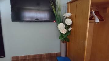 Una habitación con un televisor de pantalla plana montado en la pared, un mueble de madera, un tapete azul en el suelo y un jarrón con flores blancas.
