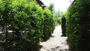 A gravel path flanked by dense green hedges, leading to a building with a dark roof. - Batuca Village & Camping (Terme Vigliatore)