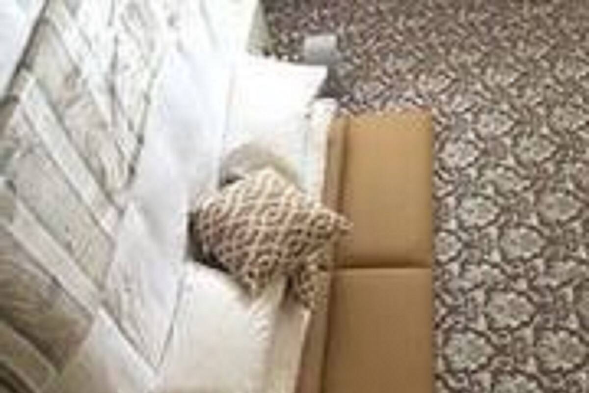Deluxe Double Room | Desk, iron/ironing board, free WiFi
