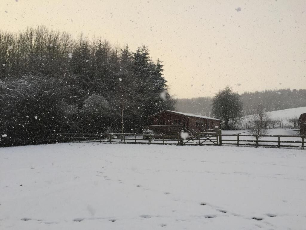 Ett snötäckt landskap med en träladugård och ett inhägnat område.