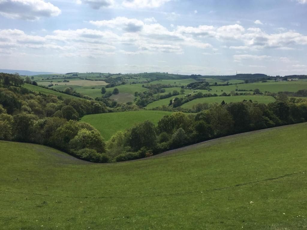 Een panoramisch uitzicht op glooiende groene heuvels met een heldere lucht.