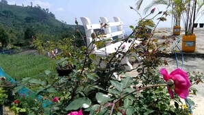A garden with potted plants and a white bench. - Amaya View Guest Inn (Haputhale)