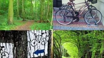 Un área boscosa con un sendero para bicicletas y un edificio con estacionamiento para bicicletas.
