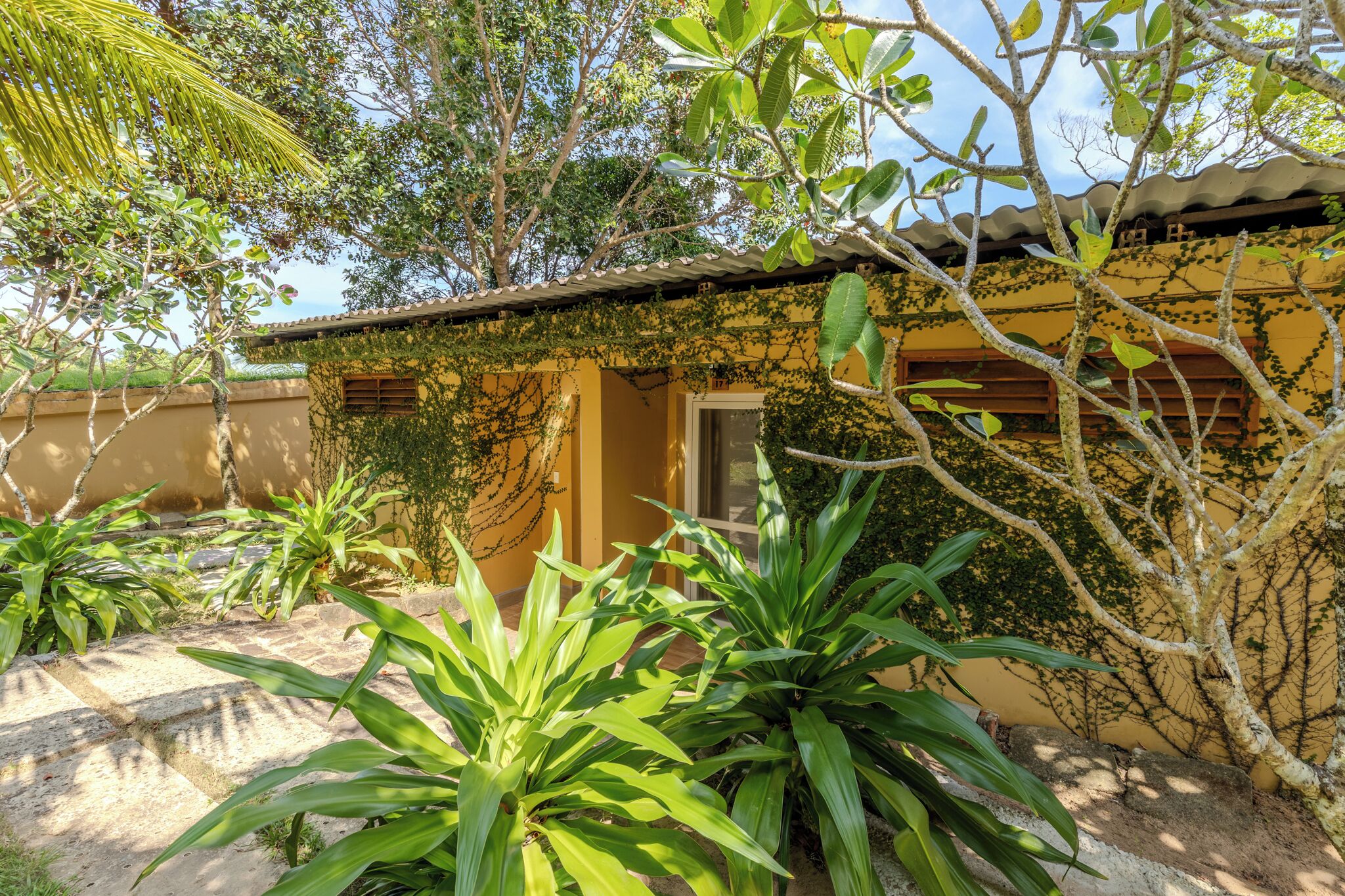 Foto - Mango Beach Resort