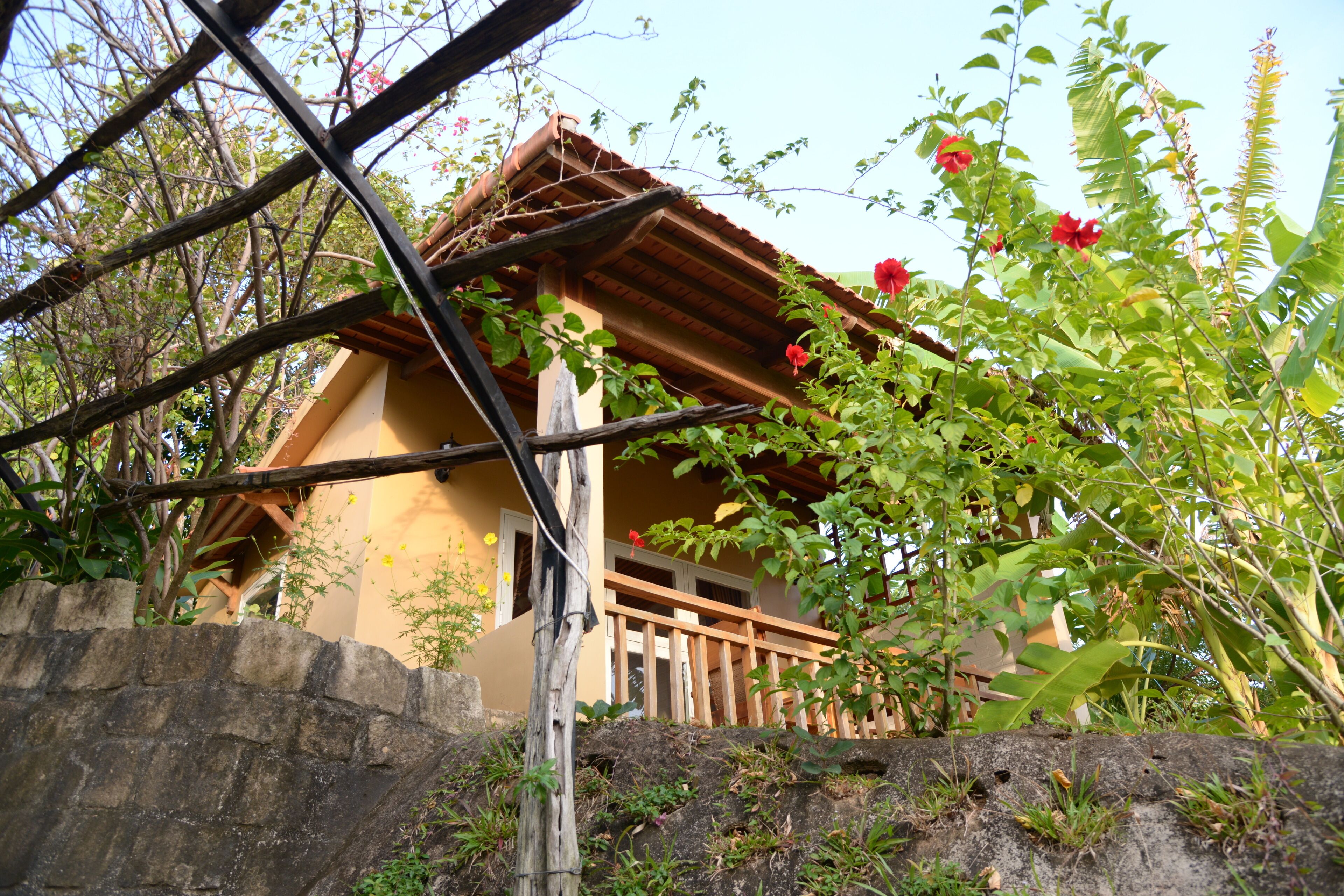 deluxe double room | garden view