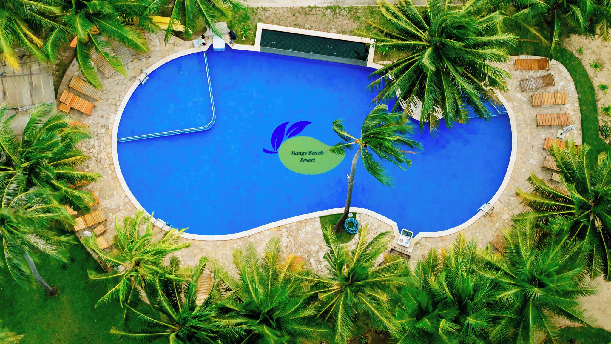 Une grande piscine bleue, entourée de palmiers et de chaises longues, se trouve au Mango Beach Resort.