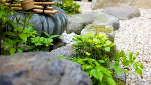 A traditional Japanese garden with a stone pathway, bamboo, and greenery. - Kazueya (Kanazawa)