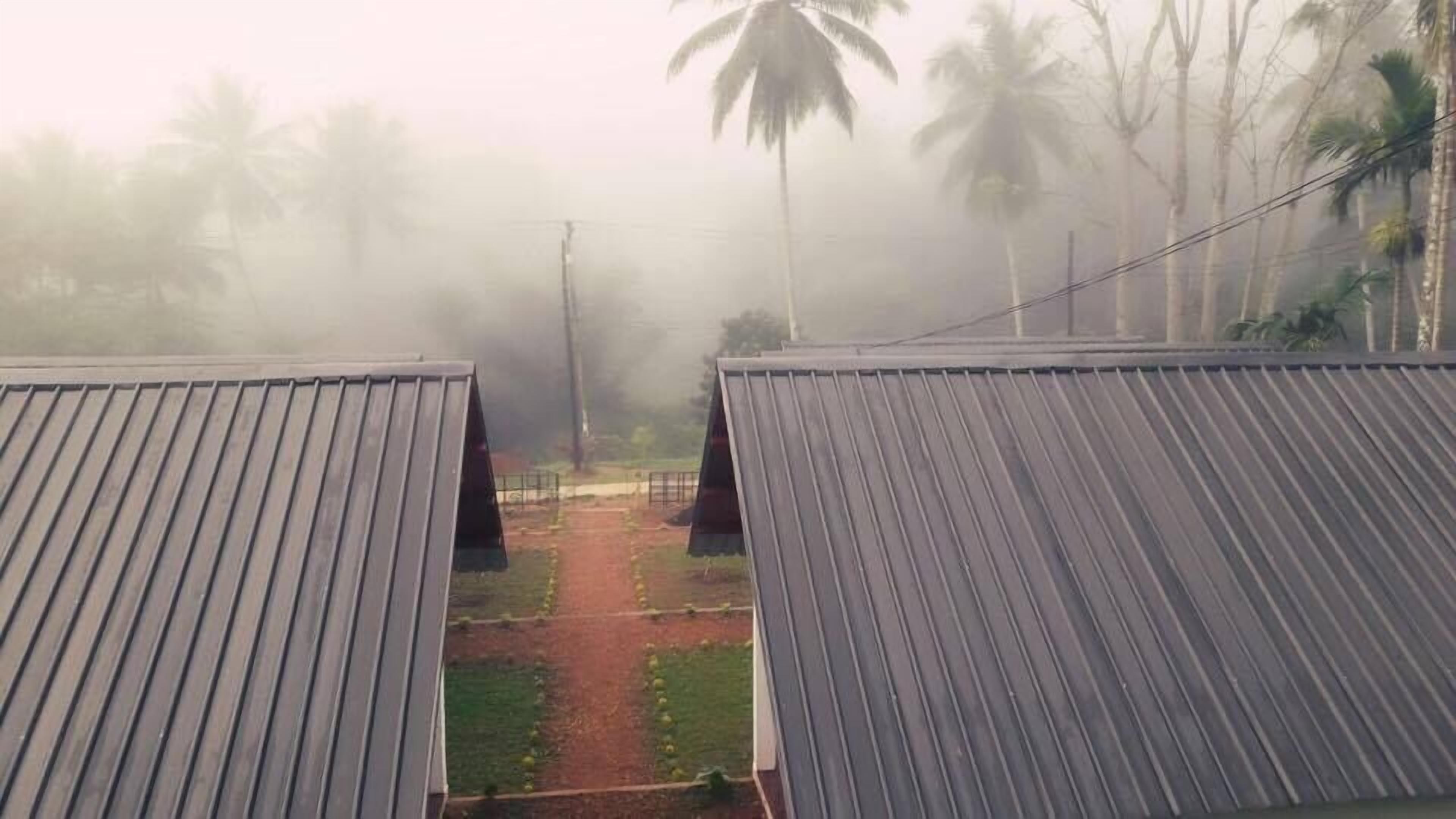 A view of a pathway leading to a building with a metal roof, surrounded by palm trees and a misty atmosphere.