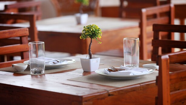 A wooden dining table with a potted plant, two glasses, and a plate with cutlery. - Sinharaja Forest Sanctuary Hotel (Deniyaya)