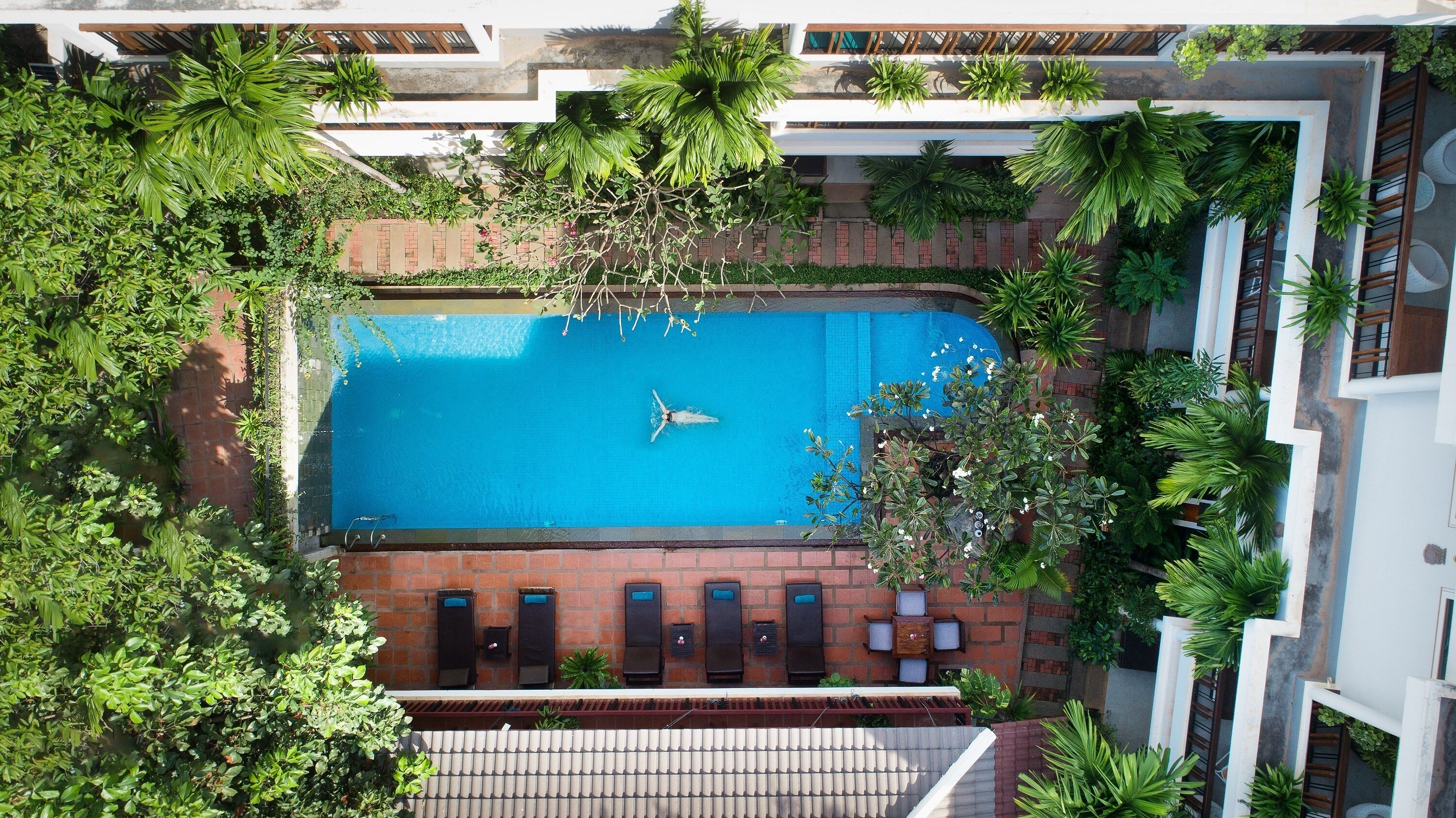 An aerial view of a swimming pool surrounded by lush greenery, with a tiled roof and a brick wall.