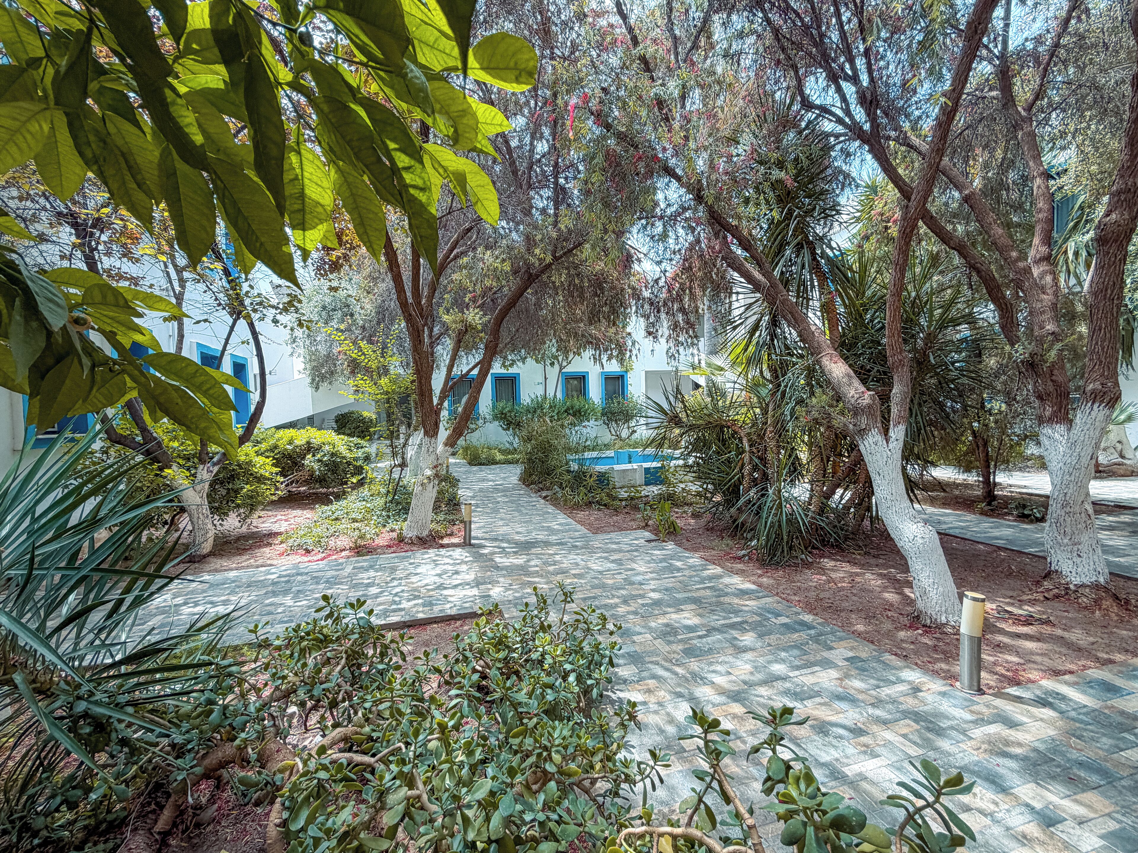 Jardín