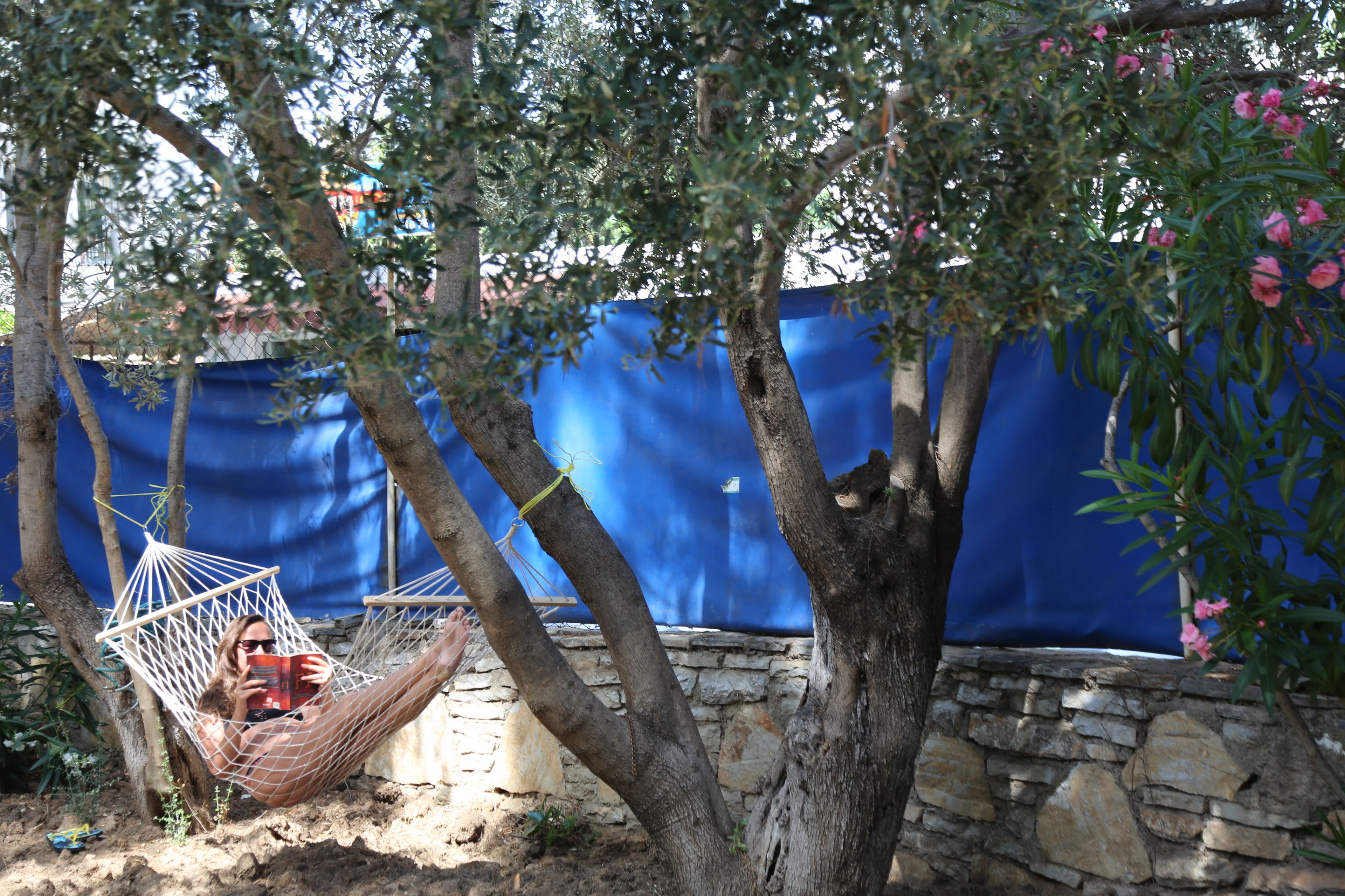 A hammock under a tree, a stone wall, and a blue tarp in the background.