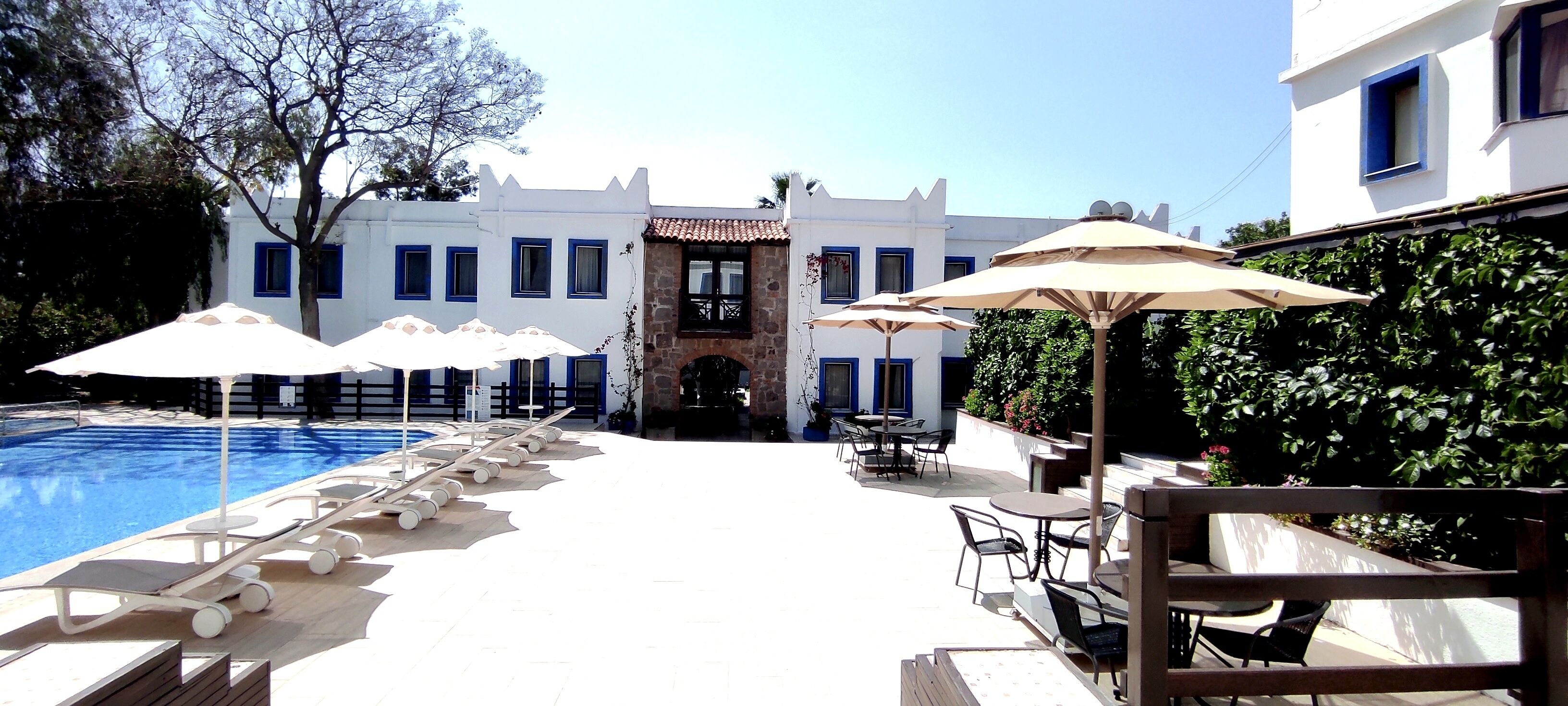 Serveert ontbijt, lunch, diner, Turkse gerechten 