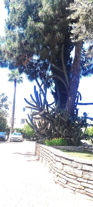 Exterior - Otel Atrium (Bodrum)