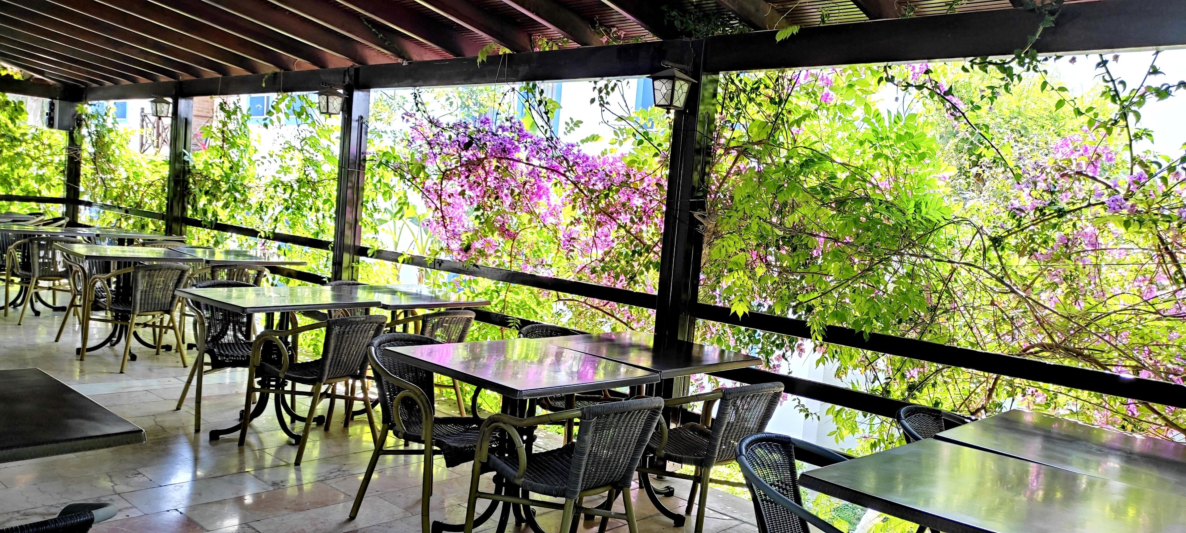 아침 식사, 점심 식사, 저녁 식사 제공, 터키 요리