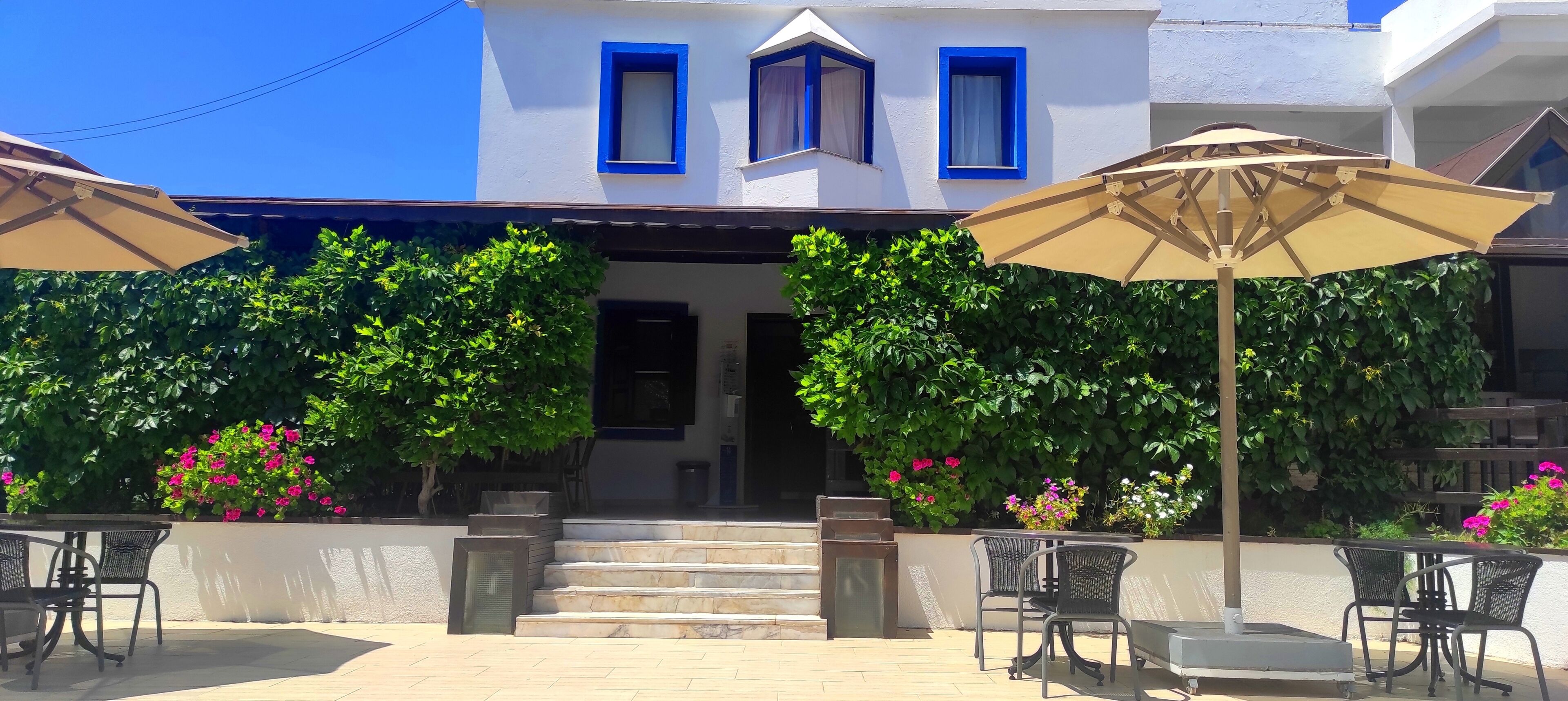 Morgunverður og hádegisverður í boði, tyrknesk matargerðarlist