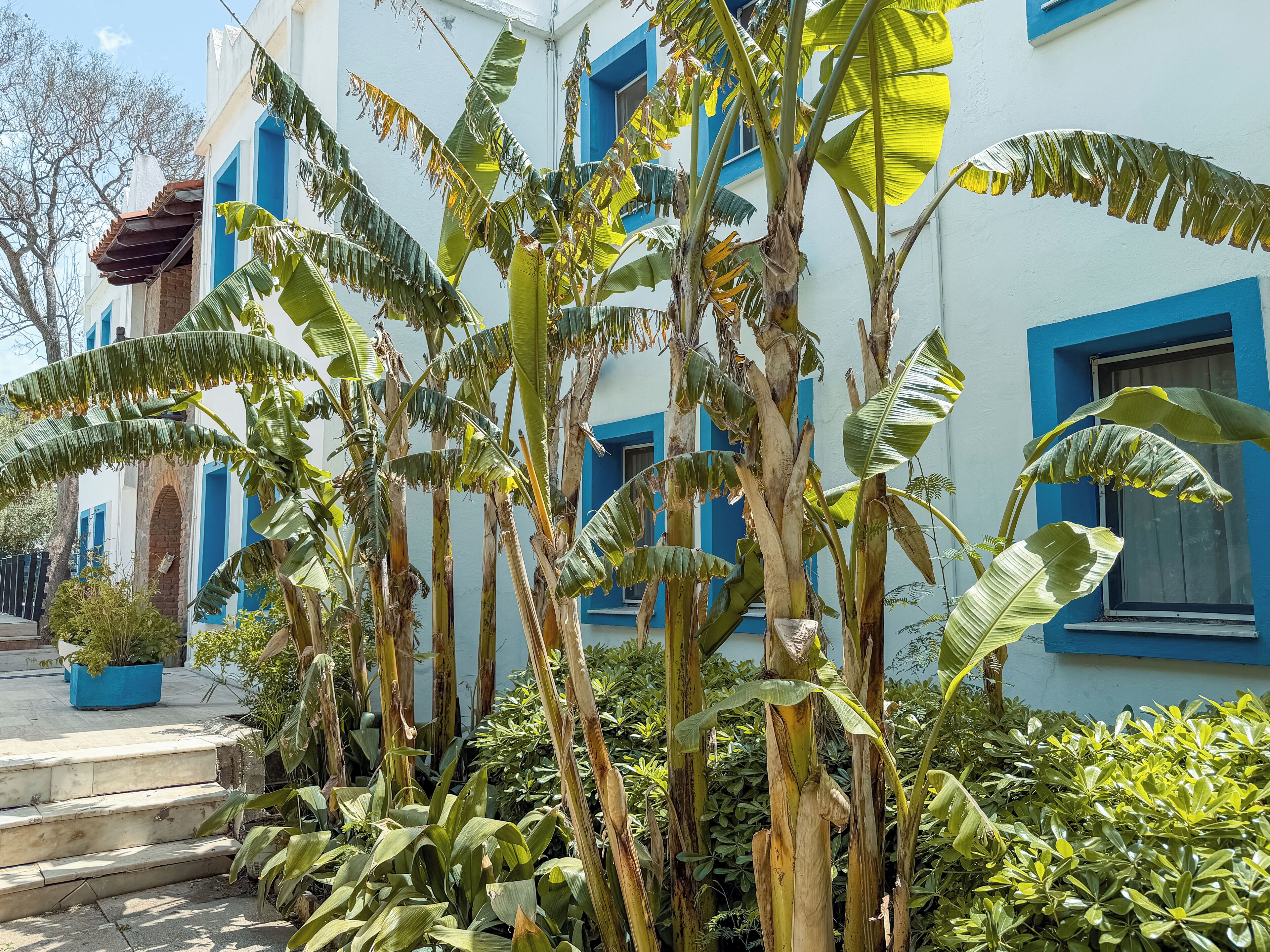 Foto - Otel Atrium