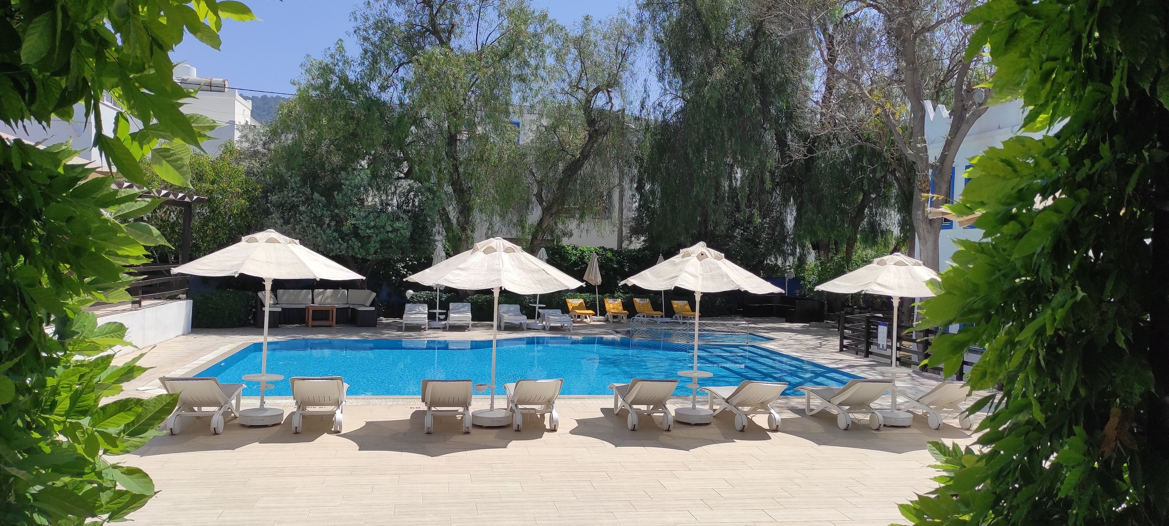 Piscina con sillones de descanso y sombrillas, rodeada de árboles y edificios.